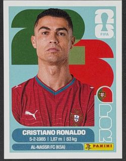 PANINI STICKERS