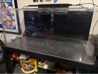 40 gallon acrylic aquarium