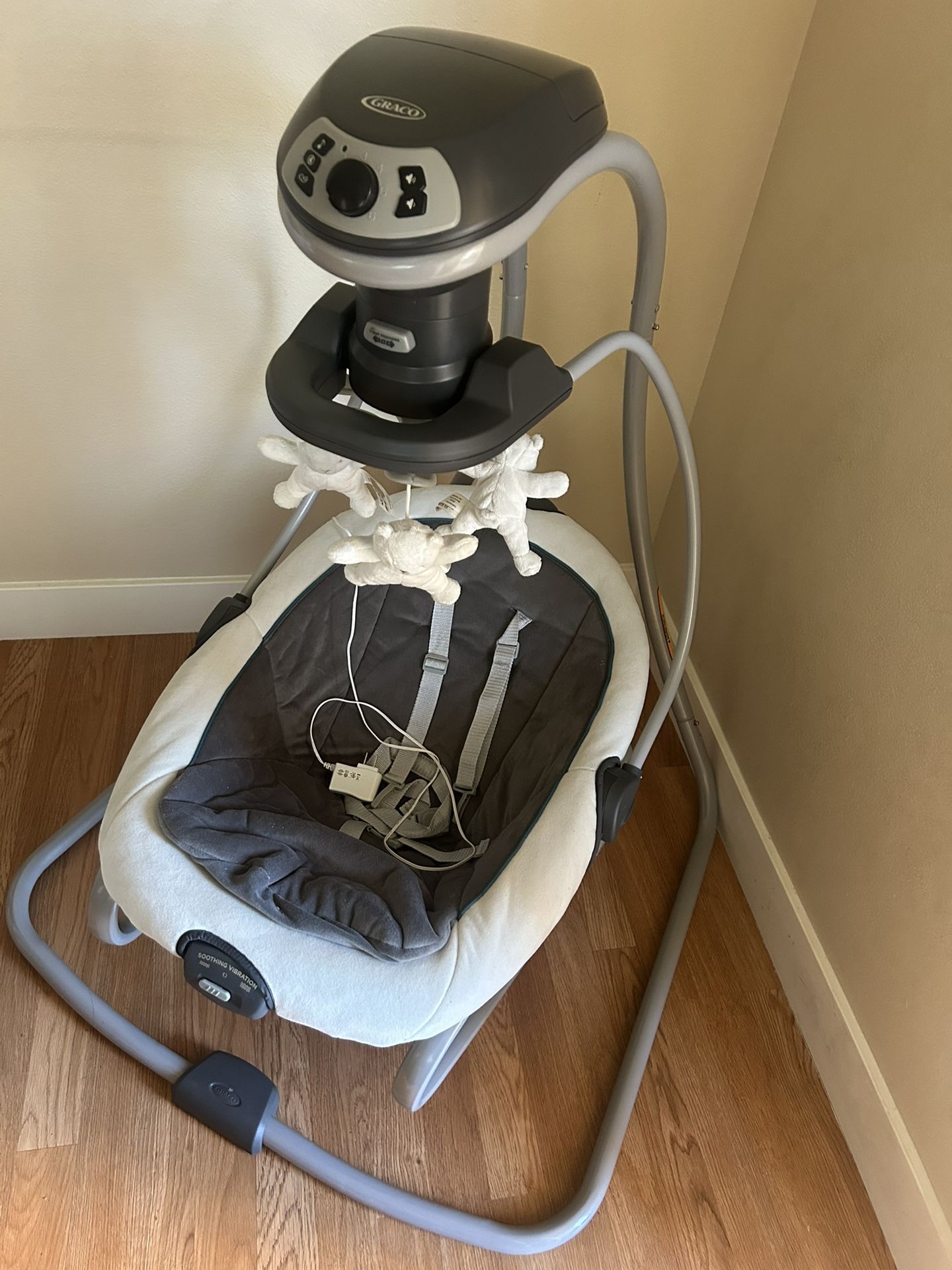 Graco Duet Soothe Swing And Rocker