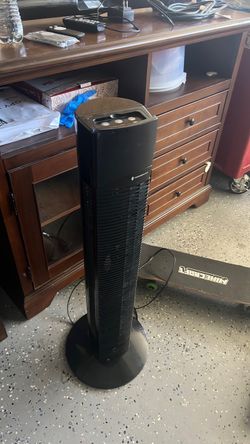 Fan
