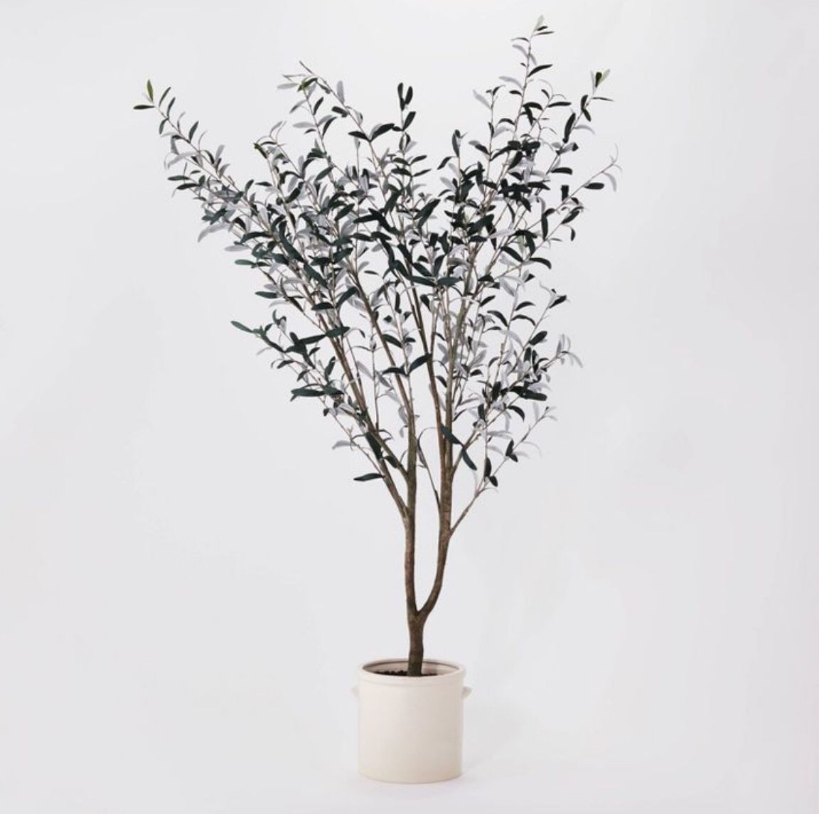 New Faux Realistic Olive Tree In Beautiful Off White Ceramic Pot Large Threshold Studio McGee