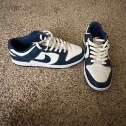 Blue nike Low Dunks