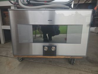 Gagganeau steam oven