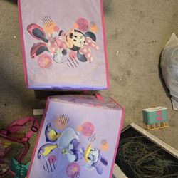 Minnie Mouse Decor