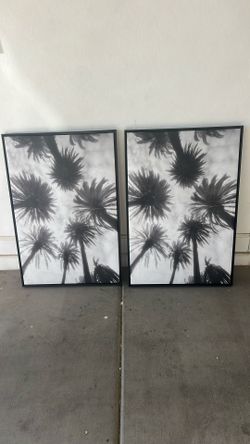 Palm Tree Picture 