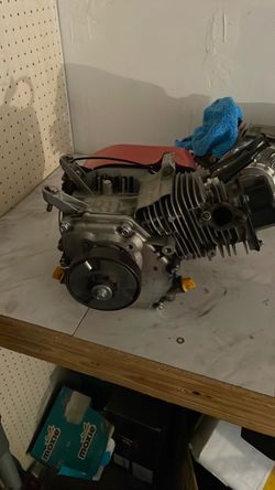 Predator 224