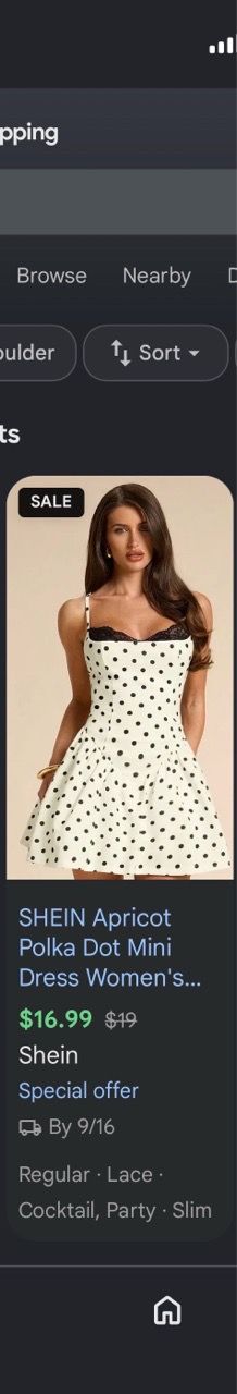 SHEIN Polka Dot Lace Mini Dress