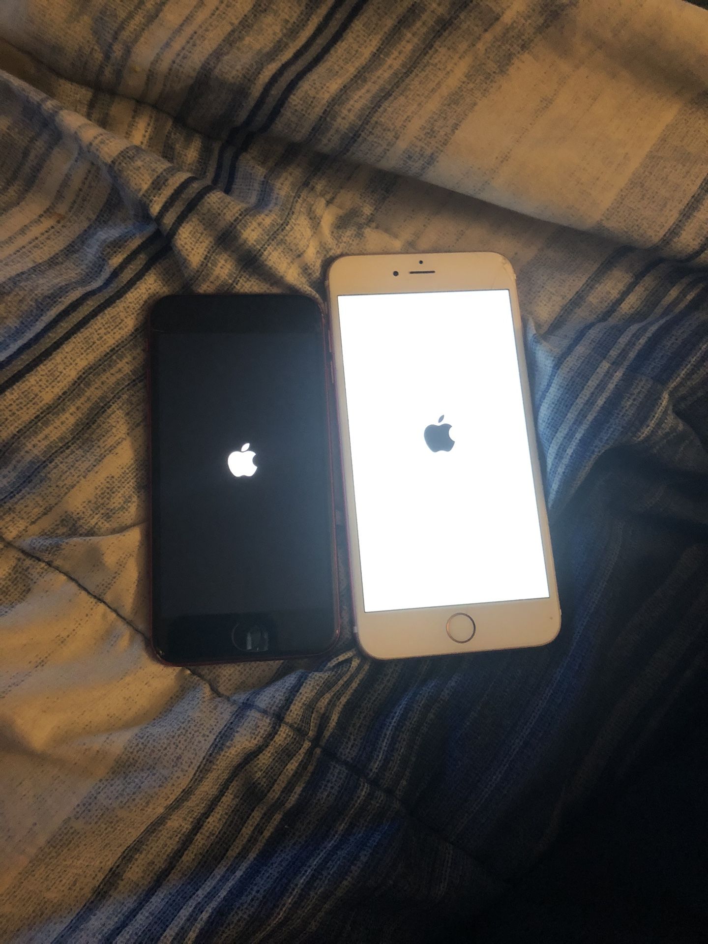 iPhone SE & iPhone 6s Plus 