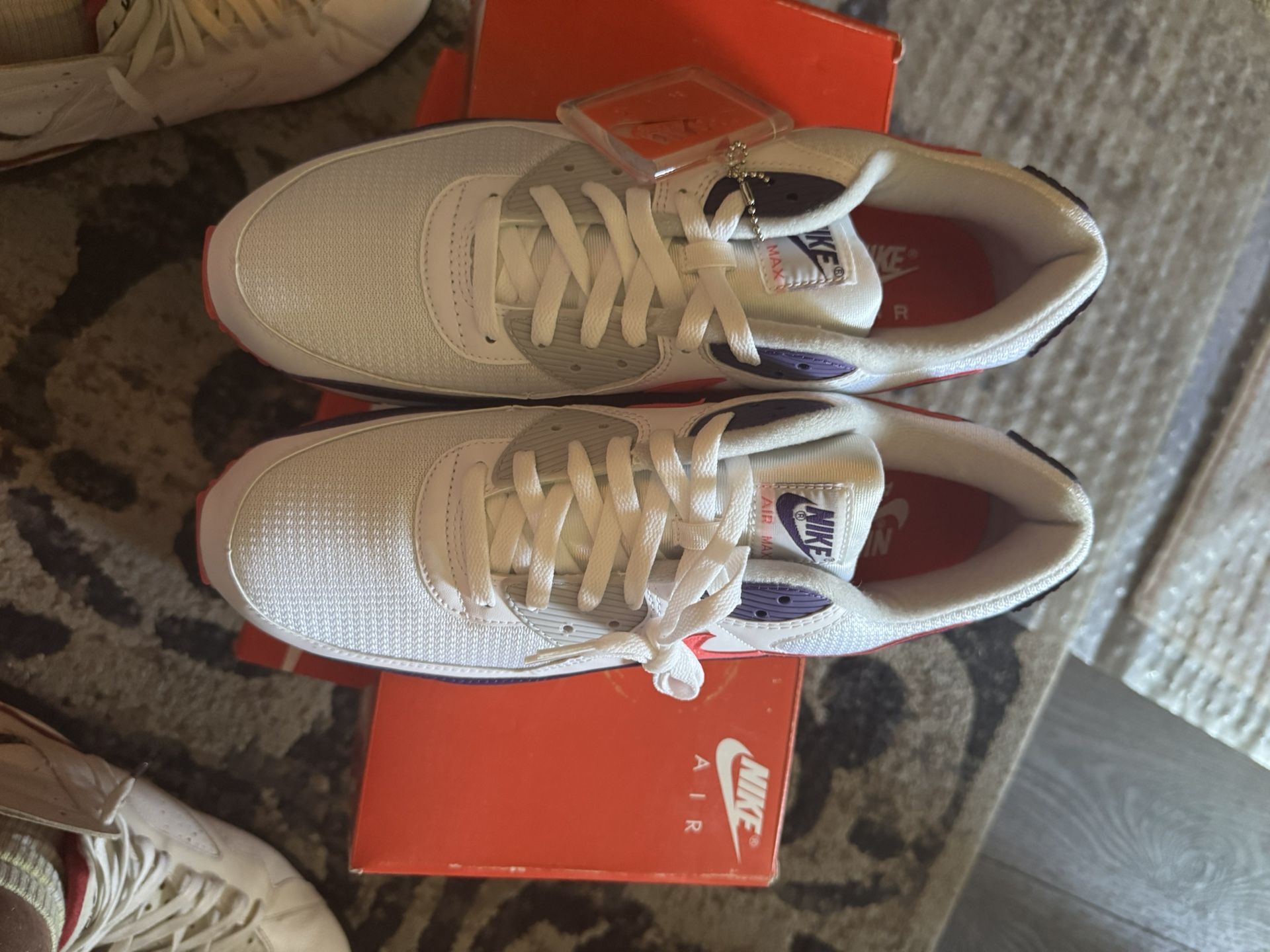Nike Air Max 90 (Egg Plant)