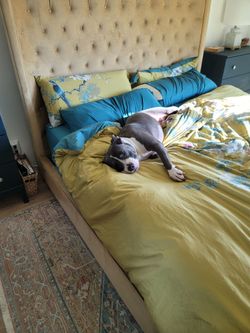 Cal King Platform Bed Frame (Crushed Velvet)