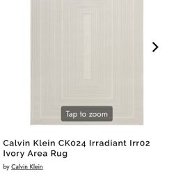 99$ Today Only -Calvin Klein Area Rug / Like New 8x10