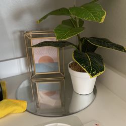 Home Decor Everything