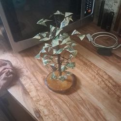 Money Tree 