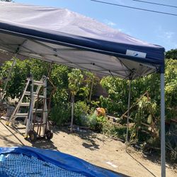 Canopy 10x10