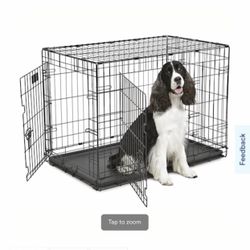 Kennel 