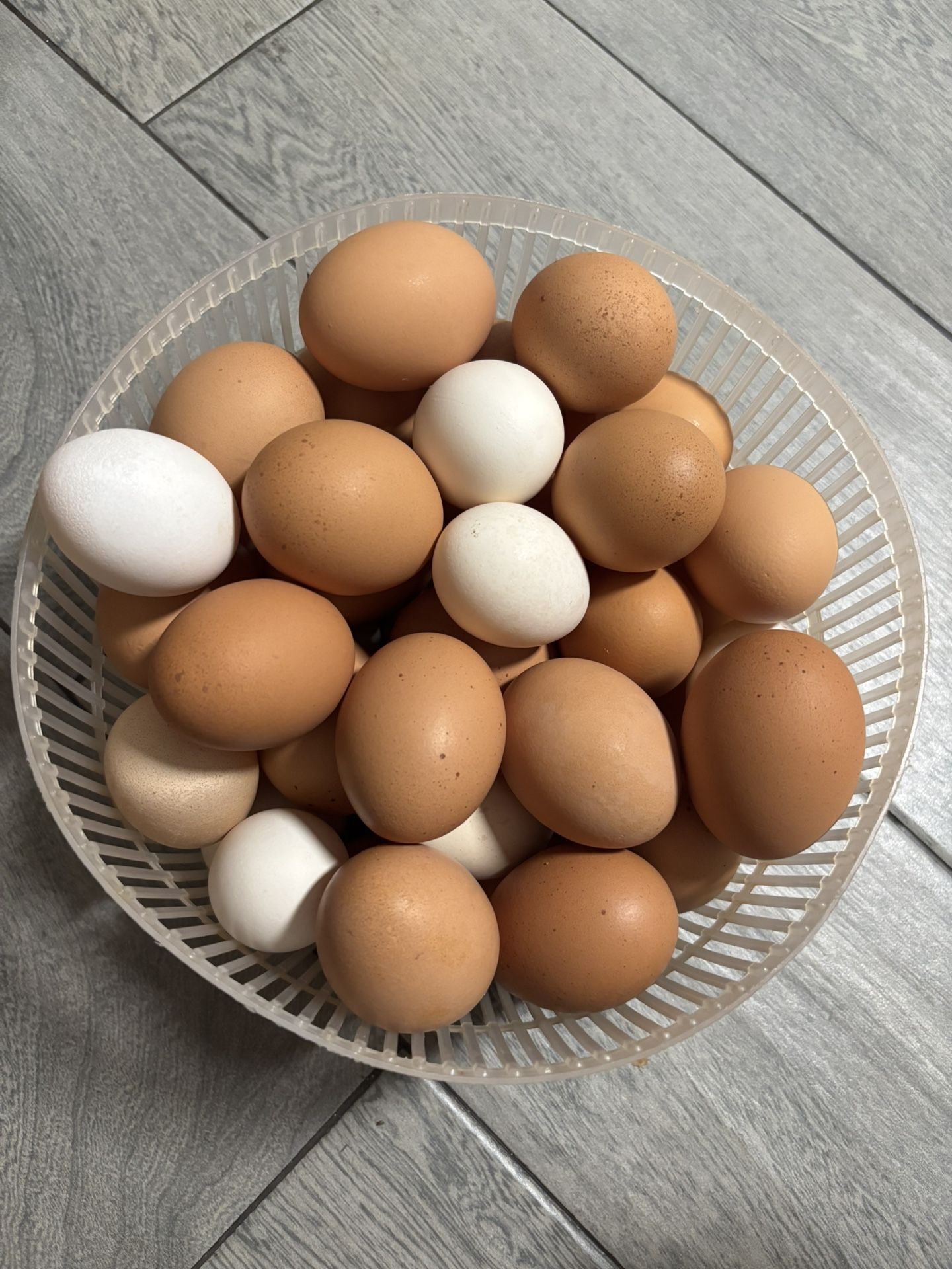Eggs