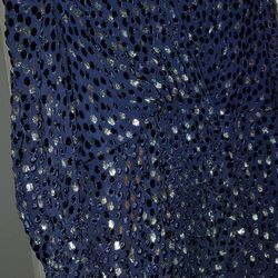 Blue And Silver Dress