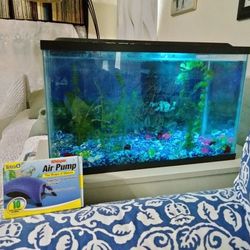 10 Gallon Fish Tank With Cover Blue Light for Sale in San Antonio, TX -  OfferUp