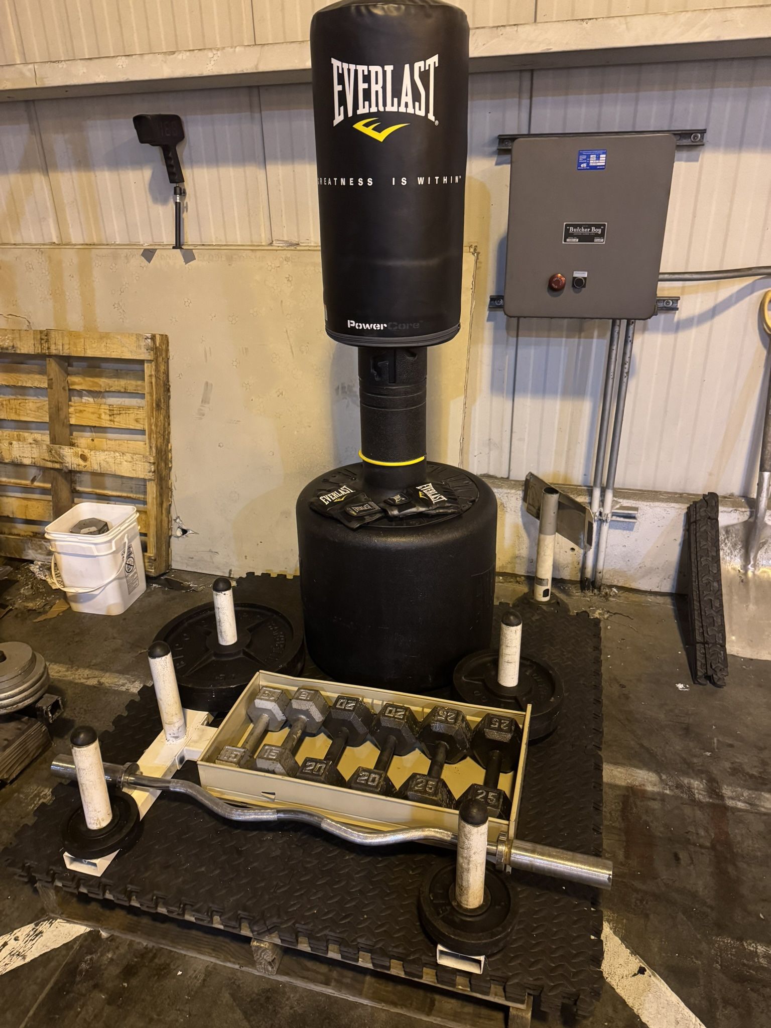 Olympic Weight plates , dumbbells, ez curl bar , storage stand rack