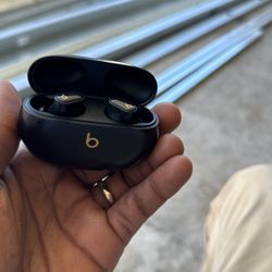 Beats Buds + 