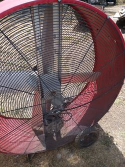 Fan
