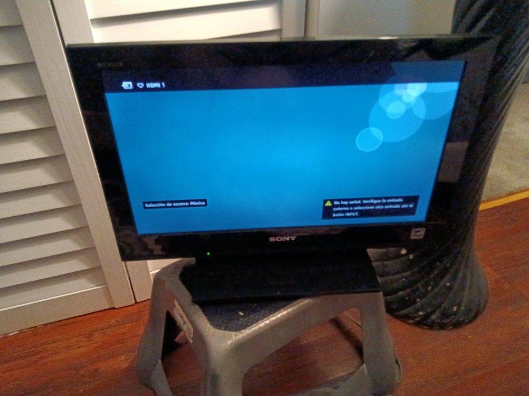 21 Inch Sony TV