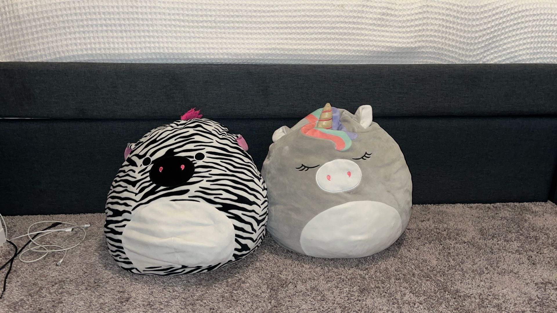 Medium Sized Zebra Squishmellow