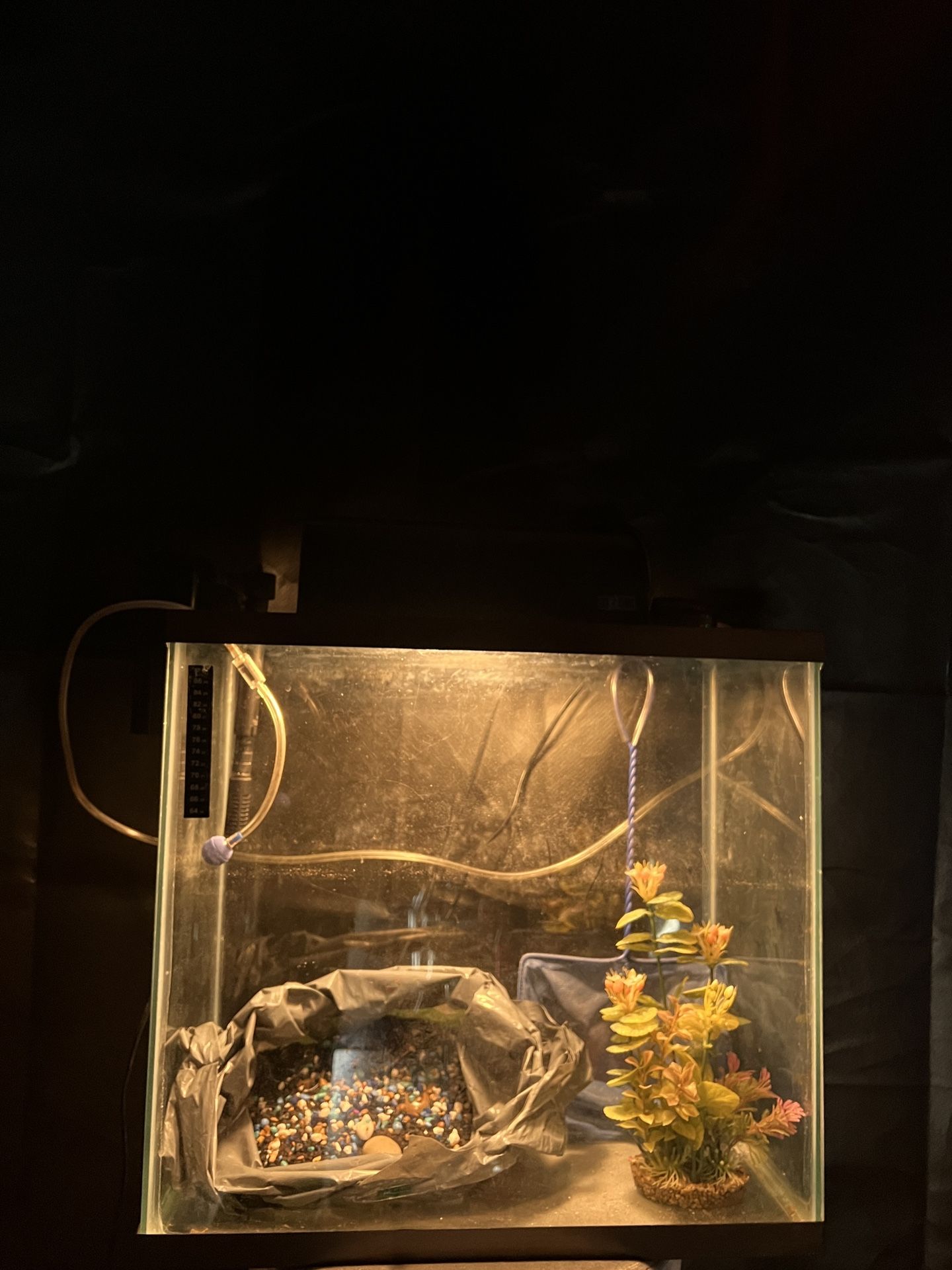 20 Gallon Tall Fish Tank Kit