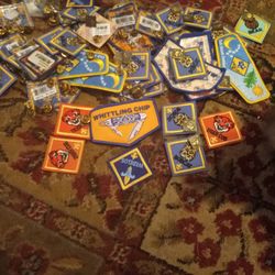 Boy Scout Patches Collection