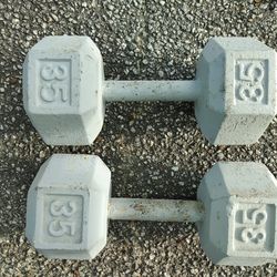 35lbs Dumbbells