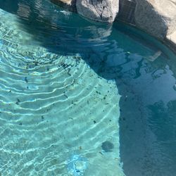 $$$60pool Installation 