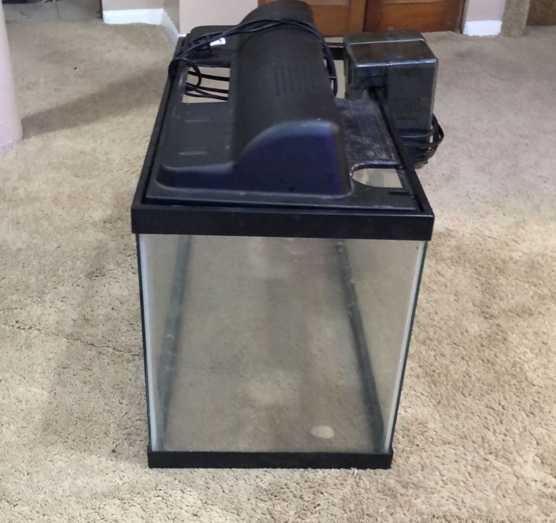 10 Gallon Aquarium Kit