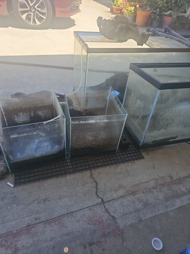 Aquariums