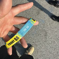 Lollapalooza Friday Wristbands For Sale 