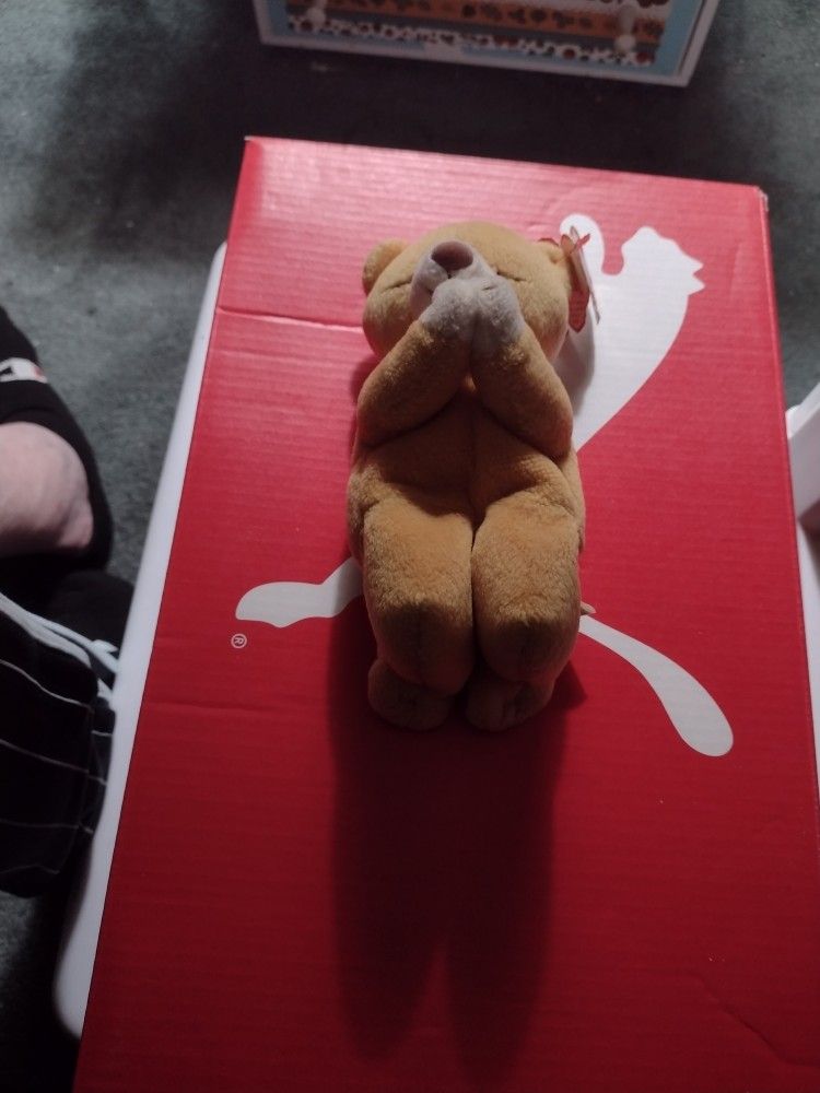 Ty Hope Bear 1st Edition. Cash Porch Pickup Redmond