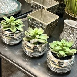 Adorable Mirrored Faux Succulents $10/each