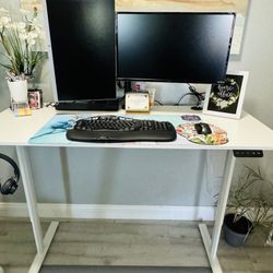 White Electric Standing Desk 55x24