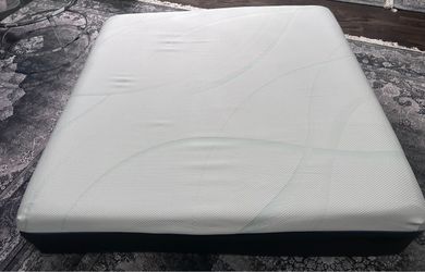 Tempur-Pedic TEMPUR