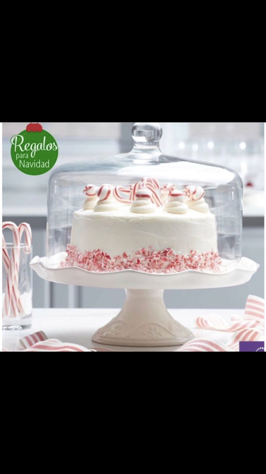 Pastelera Marbella Princess House