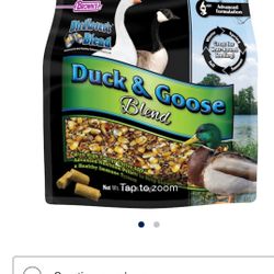 Duck & Goose 