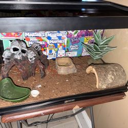 Tank with decor