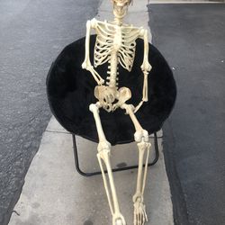 Skeleton That You Can Pose  Thumbnail