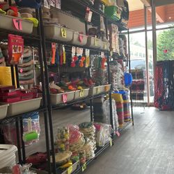 Pet Store Liquidation 