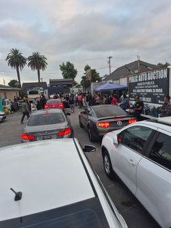 Public auctions