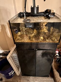 25 Gallon Fish Tank
