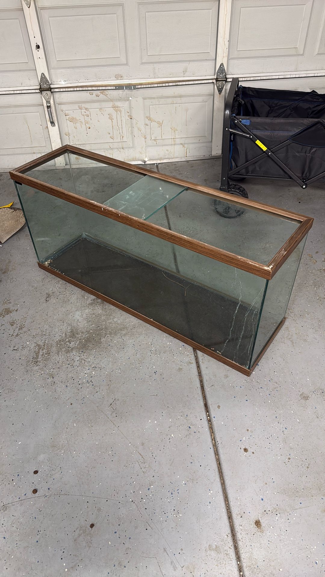 40 Gallon Aquarium Tank