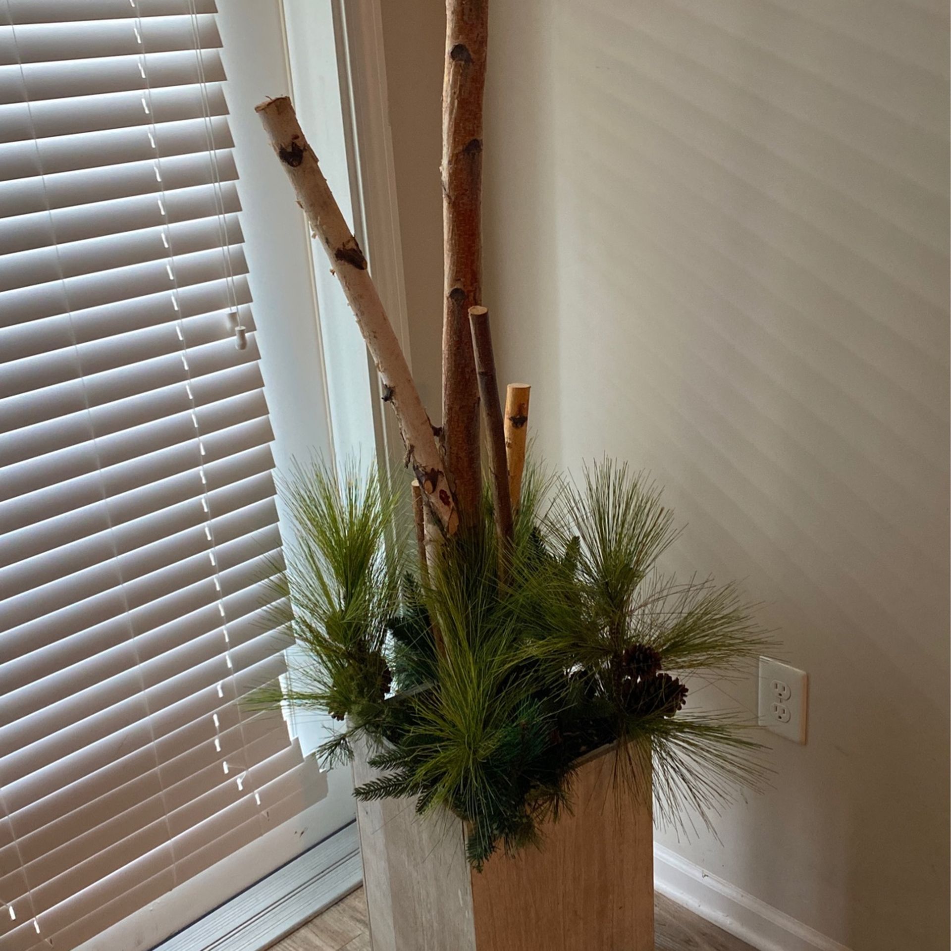 Beautiful Modern Planter