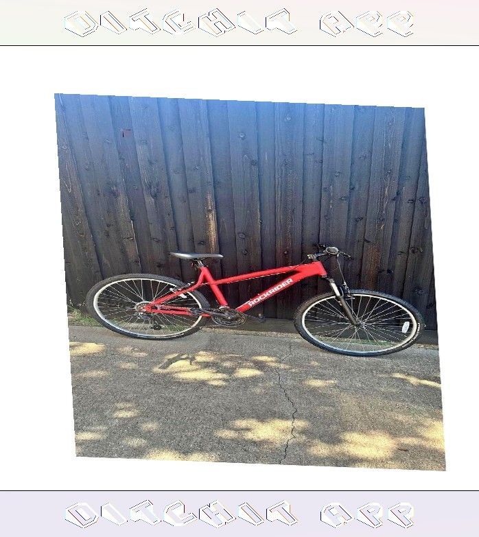 order policy Adult Bicycle Comfortable Ride for Everyday Trips