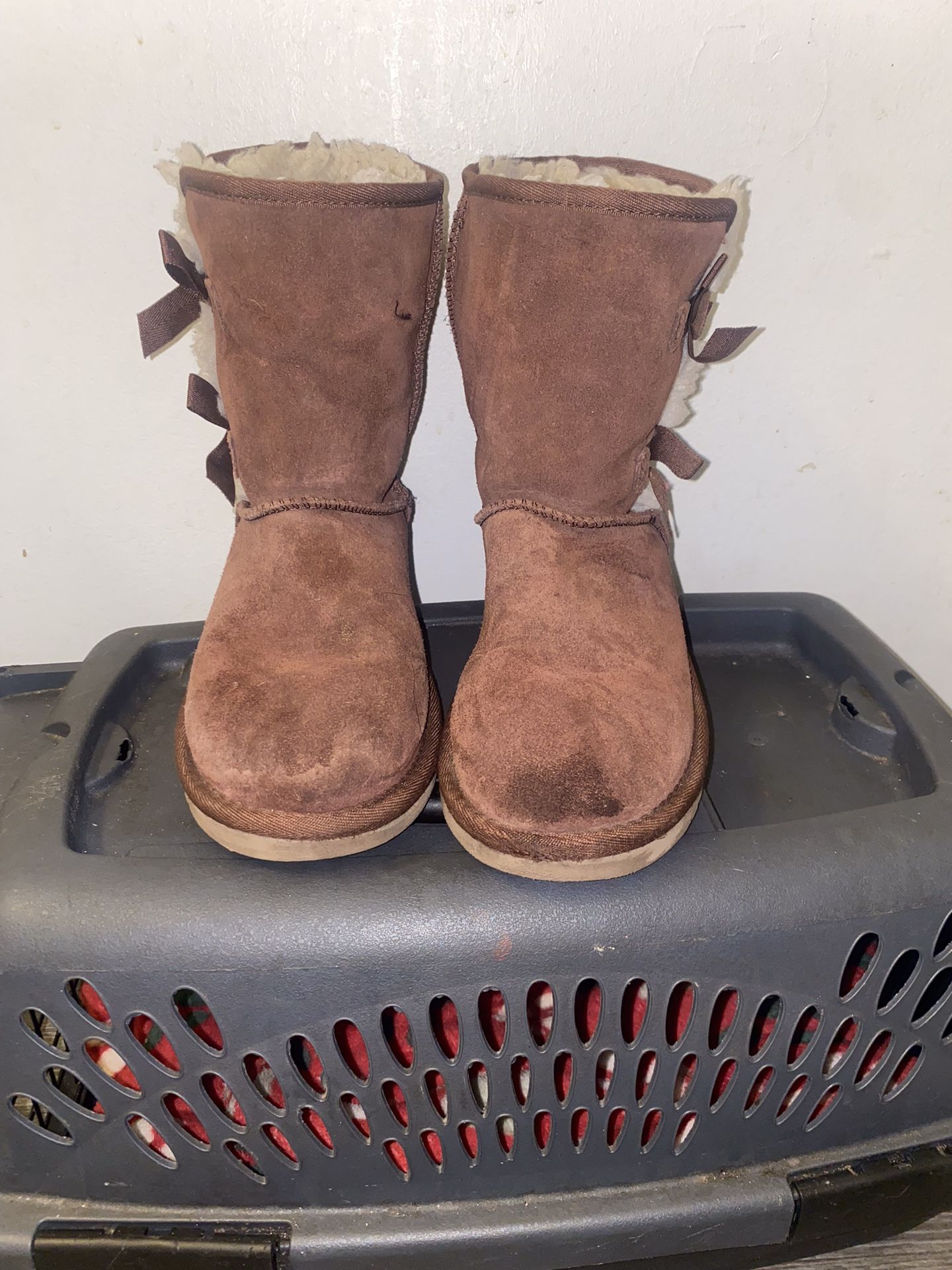 bearpaw boots