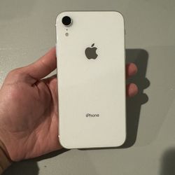 iPhone  XR 64gb (unlocked)